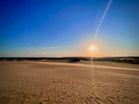 Jockey's Ridge State Park